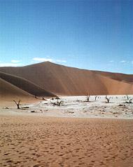 Dead Vlei near Sossusvlei