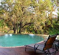 Hoyo-Hoyo Tsonga Lodge Northern Province, South Africa pool