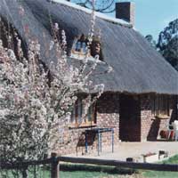Lemoendoorn Cottage Viljoenskroon, Free State, South Africa
