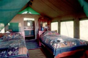 Macatoo Camp Maun Ngamiland Botswana