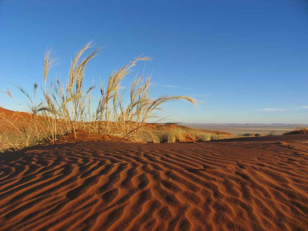 Namib Desert Lodge Namib-Naukluft Park, Namibia: dunes