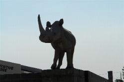 Rhino Executive Lodge Maun Ngamiland Botswana