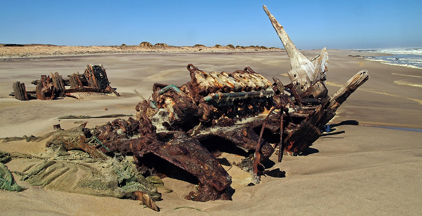 South West Seal, Skeleton Coast, Namibia