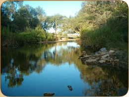 Tsauchab River Camp Namibia: natural springs