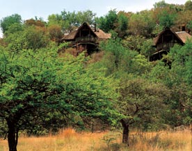 Tshukudu Bush Lodge, South Africa