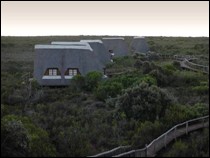 Buchu Bush Camp Near De Hoop Nature Reserve, Western Cape, South Africa