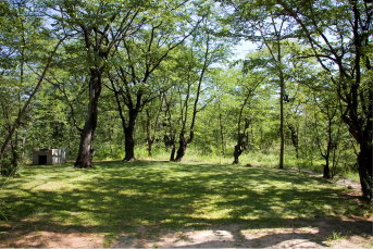 Camp Nkwazi Livingstone, Southern Province, Zambia