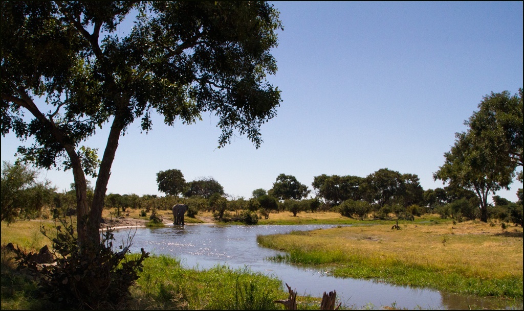 Dijara Camp, Moremi Game Reserve, Botswana