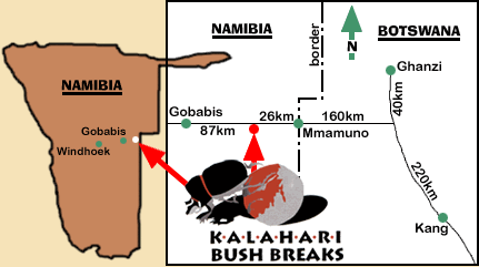 Kalahari Bush Breaks Namibia