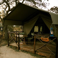 Kwafubesi Tented Safari Camp Northern Province, South Africa