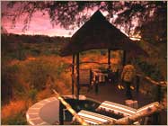 Londolozi Reserve, South Africa