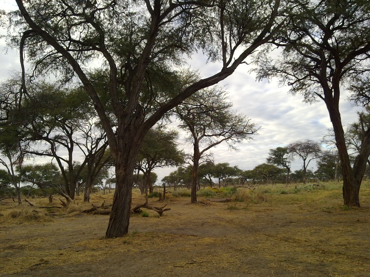 Magotho Camp, Moremi Game Reserve, Botswana