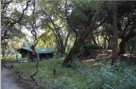Monkey Island Lodge Camp Ngamiland, Botswana