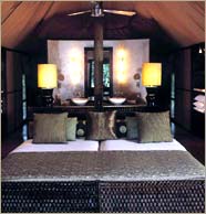 Ngala Tented Camp, South Africa