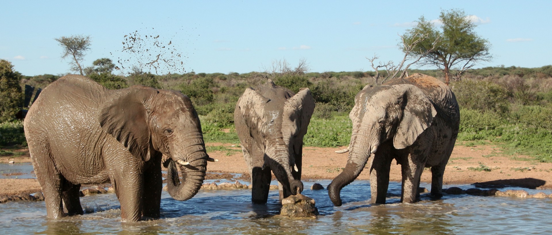 Okambara Game and Elephant Lodge Namibia