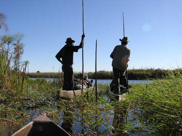 Okavango Delta: waiting for the hippos