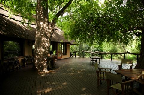 Royal Tree Lodge Maun, Ngamiland, Botswana