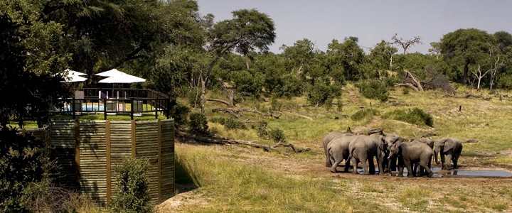 Savute Elephant Camp Chobe Park, Botswana