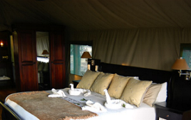 Stanley's Camp Ngamiland Botswana room