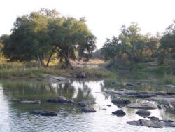 Stevensford Game Rreserve Tuli Block, Botswana