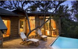 Tsala Treetop Lodge Plettenberg Bay, Western Cape, South Africa